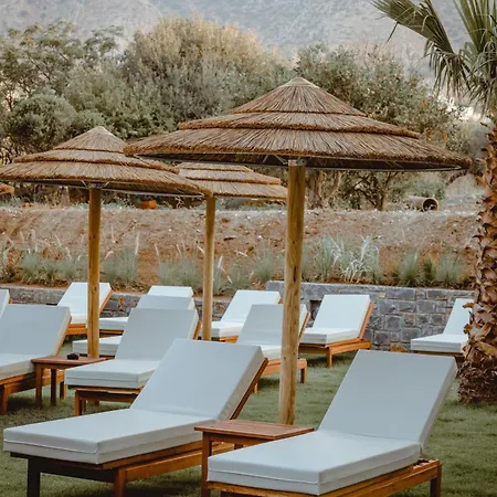 Hotel Cook's Club Crete (adults Only) Hersonissos (Crete)